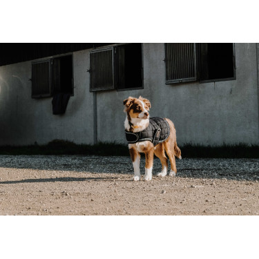 Coperta per cane Ti amo Equithème Nero