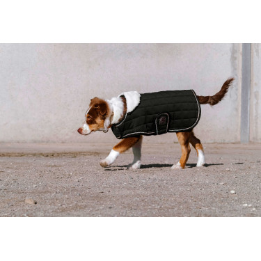 Coperta per cane Ti amo Equithème Nero