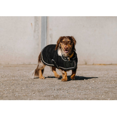 Coperta per cane Ti amo Equithème Nero