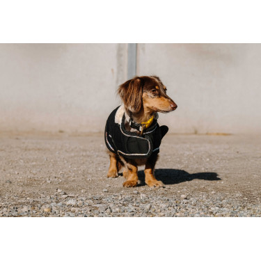 Coperta per cane Ti amo Equithème Nero