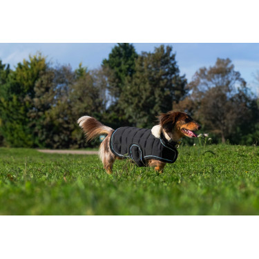 Coperta per cane Ti amo Equithème Nero