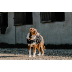 Coperta per cane Ti amo Equithème Nero