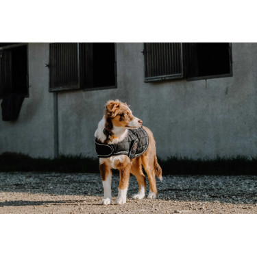 Coperta per cane Ti amo Equithème Nero