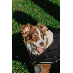 Coperta per cane Ti amo Equithème Nero