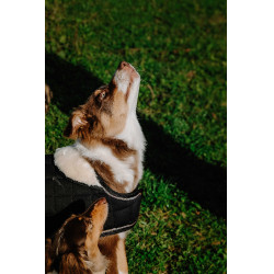 Coperta per cane Ti amo Equithème Nero