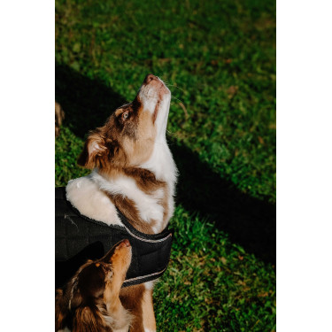 Coperta per cane Ti amo Equithème Nero