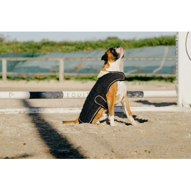 Coperta per cane Ti amo Equithème Nero
