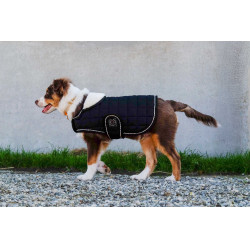 Coperta per cane Ti amo Equithème Nero