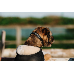 Coperta per cane Ti amo Equithème Nero