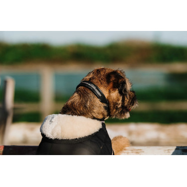 Coperta per cane Ti amo Equithème Nero