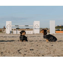 Coperta per cane Ti amo Equithème Nero