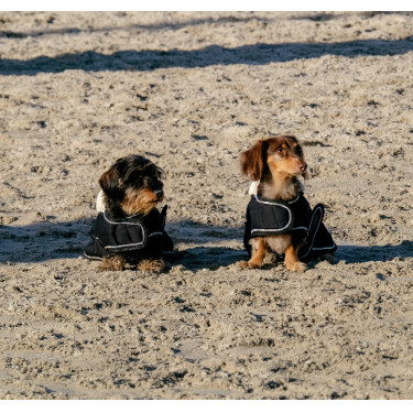 Coperta per cane Ti amo Equithème Nero