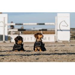 Coperta per cane Ti amo Equithème Nero