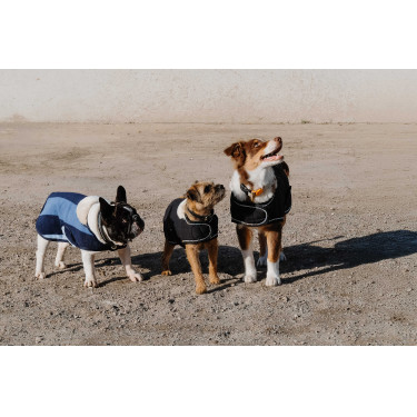 Coperta per cane Ti amo Equithème Nero