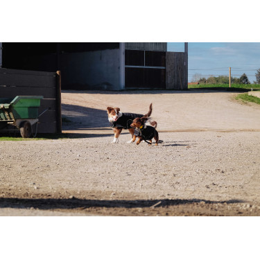 Coperta per cane Ti amo Equithème Nero