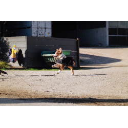 Coperta per cane Ti amo Equithème Nero