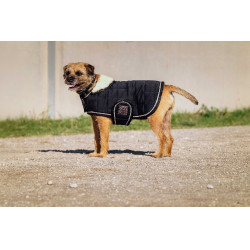 Coperta per cane Ti amo Equithème Nero