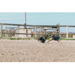 Camicia in pile per cane Equithème Marina Blu marino