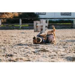 Camicia in pile per cane Equithème Marina Blu marino