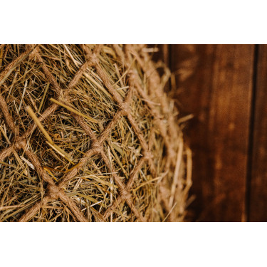 Rete per fieno HIPPOTONIC - Naturale Naturale Marrone