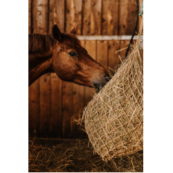 Rete per fieno HIPPOTONIC - Naturale Naturale Marrone