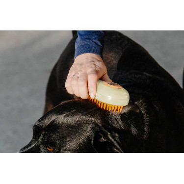 Striglia Hippotonic Vapore Crema Beige