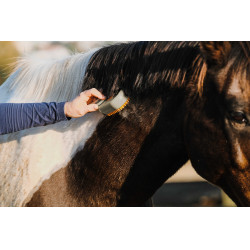 Striglia con manico Hippotonic Vapeur Talpa Marrone