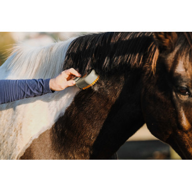 Striglia con manico Hippotonic Vapeur Talpa Marrone