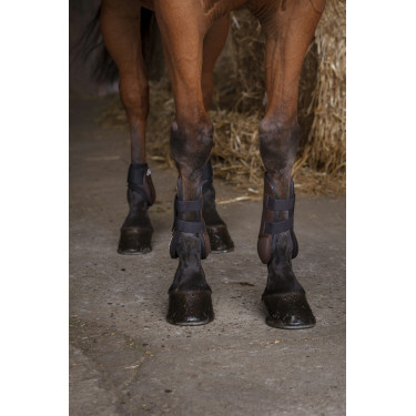 Ghette Norton XTR Ghette Norton XTR