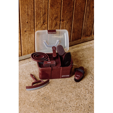 Spazzola per la testa HIPPOTONIC - Glitter Bordeaux