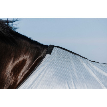 Camicia Riding World Belly Mesh Grigio Camicia Riding World Belly Mesh Grigio