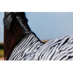 Camicia Riding World Belly Mesh Nero / bianco motivo zebra Motivi