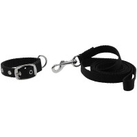 Collare e guinzaglio per cane Riding World Oscar Nero