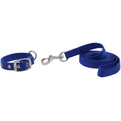 Collare e guinzaglio per cane RIDING WORLD - Oscar Blu reale
