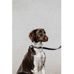 Collare per cane EQUITHÈME - Nala Nero