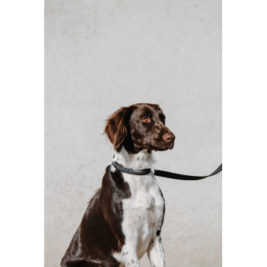 Collare per cane EQUITHÈME - Nala Nero