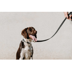 Collare per cane EQUITHÈME - Nala Nero