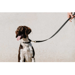 Collare per cane EQUITHÈME - Nala Nero