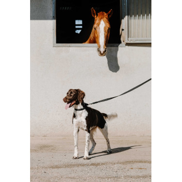 Collare per cane EQUITHÈME - Nala Nero