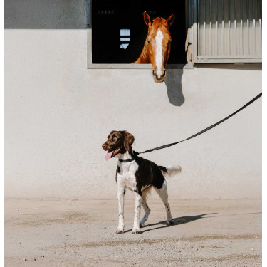 Collare per cane EQUITHÈME - Nala Nero