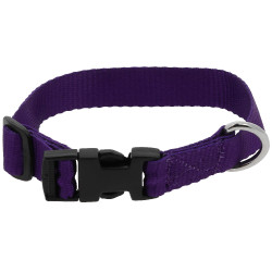 Collare per cane RIDING WORLD - Pat Viola Collare per cane RIDING WORLD - Pat Viola