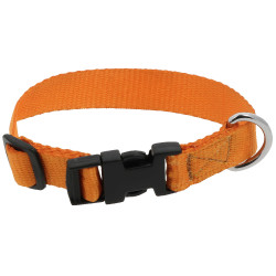 Collare per cane RIDING WORLD - Pat Arancione Collare per cane RIDING WORLD - Pat Arancione