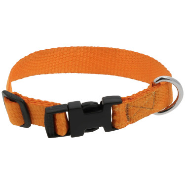 Collare per cane RIDING WORLD - Pat Arancione Collare per cane RIDING WORLD - Pat Arancione