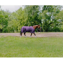Coperta Equithème Tyrex Aisance 600D Prugna Viola