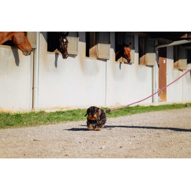 Guinzaglio per cane con maniglia RIDING WORLD - Lucky Rosa antico Guinzaglio per cane con maniglia RIDING WORLD - Lucky Rosa antico