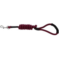Guinzaglio per cane con maniglia RIDING WORLD - Lucky Blu reale