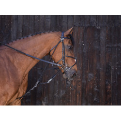 Gogue a carrucole Riding World Nero Gogue a carrucole Riding World Nero