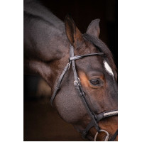 Briglia Pénélope Symphonie Nero