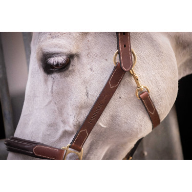 Capestro in cuoio con 3 moschettoni Paddock Sports Avana Marrone