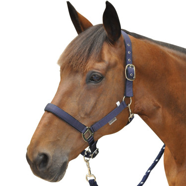Capestro Canter in nylon foderato Capestro Canter in nylon foderato